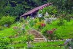 Garten und Balkon